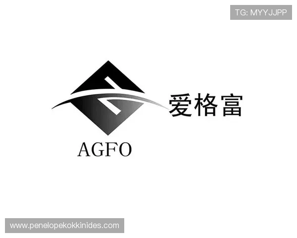 AG国际博彩平台如何保障资金安全，合理的资金管理体系确保用户利益